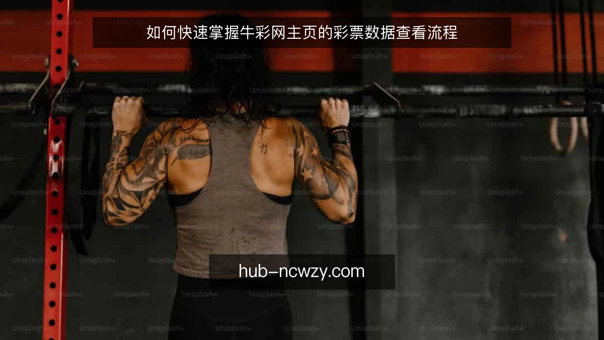 如何快速掌握牛彩网主页的彩票数据查看流程