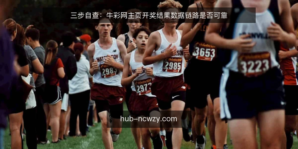 三步自查：牛彩网主页开奖结果数据链路是否可靠 — 为什么现在要审计牛彩网主页的数据链路 配图