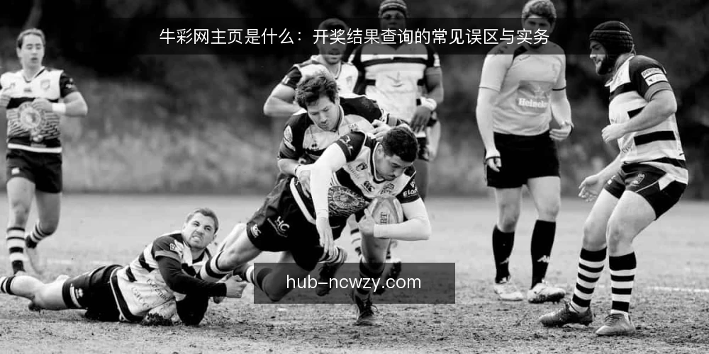 牛彩网主页是什么:开奖结果查询的常见误区与实务 — 牛彩网主页是指什么:先厘清定义与边界 配图