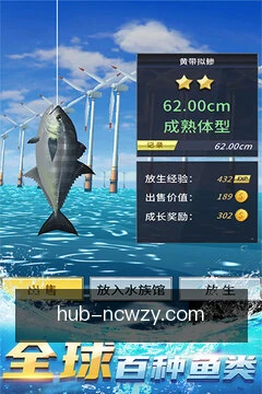 开奖速递